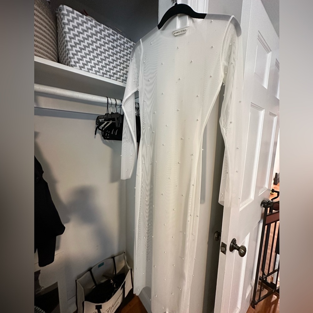 Untamed Petals Pampas Sheer Bodycon Dress